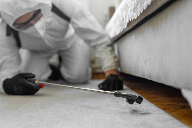 Professional Bed Bug Control technician working in Huguley, AL