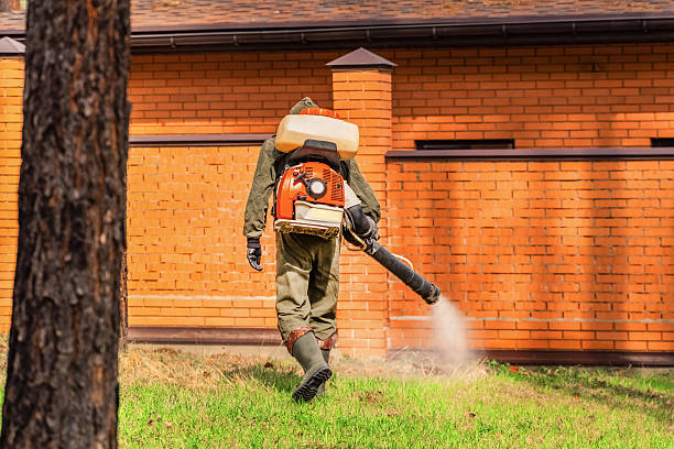 Trusted Bed Bug Control service in Huguley, AL - Nex Pest Control
